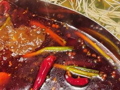 -雀蓝川菜(滨湖万象汇店)