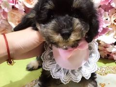 -北京恒爱动物医院(清景园分院)