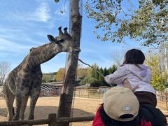 -大连森林动物园