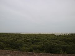 -北海金海湾红树林生态旅游区