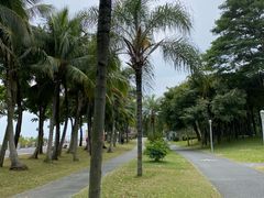 -福田红树林生态公园