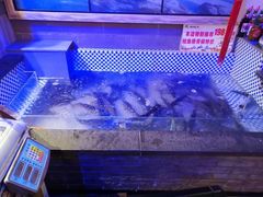 水产区-山河屯铁锅炖鲜鹅·东北菜(开发区一店)