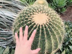 -北京植物园-展览温室