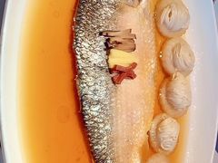 酒酿蒸鲥鱼-苏浙总会(国金中心店)