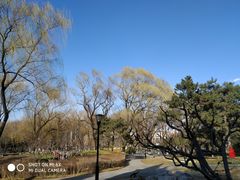 -玲珑塔公园