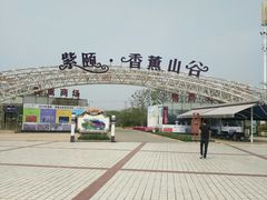 -紫颐香薰山谷景区
