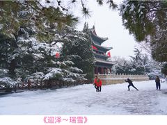 -迎泽公园