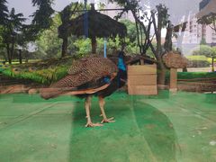 -陕西自然博物馆