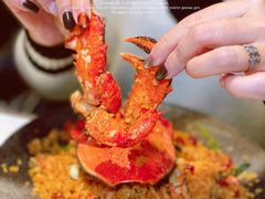 -避风塘·金牌店·夜宵(金玉兰店)