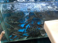 -老村长土菜馆(湖墅南路店)