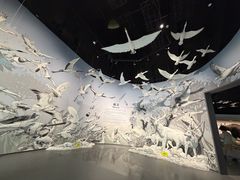 -中国湿地博物馆