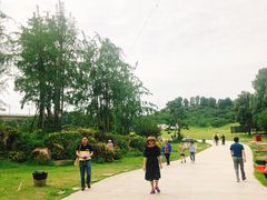 -秀丽东方