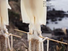 -龙头岩(Dragon Head Rock)