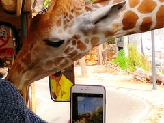 -清迈夜间动物园