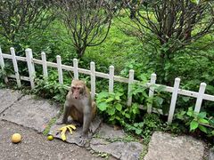 -黔灵山公园