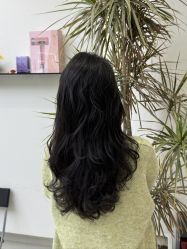 -FINE HAIR 烫染专业设计
