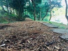 -南京市无想山景区