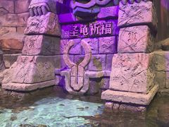 -哈尔滨波塞冬海底世界