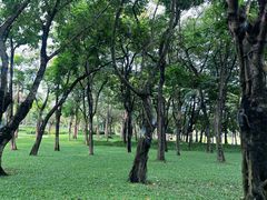 -荔香公园