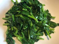 清炒豌豆尖-四季民福烤鸭店(王府井灯市口店)