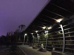-飞凤山奥体公园