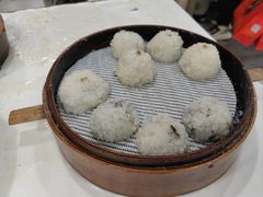-宝华园百年老字号烧麦