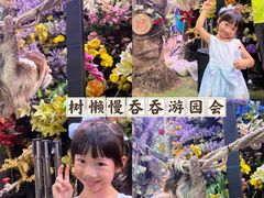 -正佳雨林生态植物园
