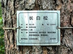 -美人松苑