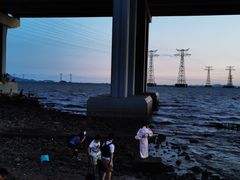 -宝安西湾红树林湿地公园