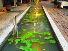 -T館·花园艺术餐厅
