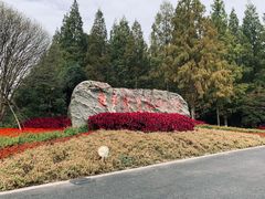 -东平国家森林公园