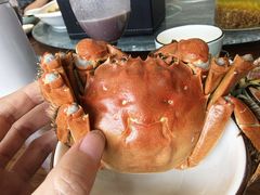 -长虹渔村·蟹码头渔家乐酒店(常熟市其他店)