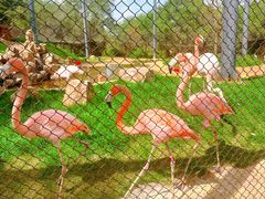 -沈阳森林动物园