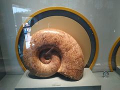 -湖南省地质博物馆