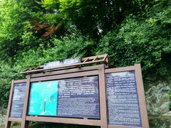 -井冈山革命烈士陵园