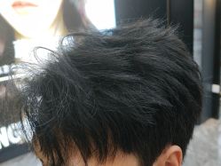 -藤野造型