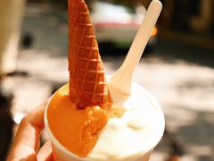 -Dip in Gelato(富民路店)