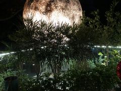 -恬阿姨庭院餐厅·生日宴