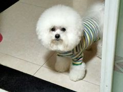 -PETKIT小佩宠物(古北店)