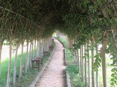 -武汉紫薇都市田园