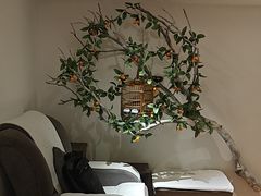 -麦子MaiMassage(打浦桥店)