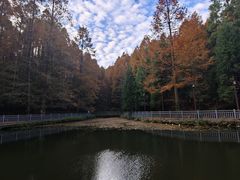 -山王坪喀斯特国家生态公园