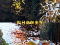 -山王坪喀斯特国家生态公园