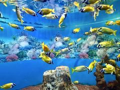 -海合安成都极地海洋公园