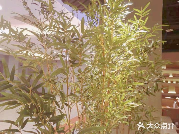 云水瑶意境云南菜餐厅(大悦城店)大堂图片