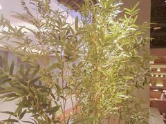 大堂-云水瑶意境云南菜餐厅(大悦城店)