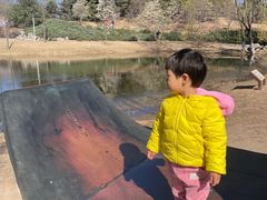 -朝阳公园游乐园