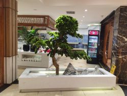 -陶然花园·婚宴