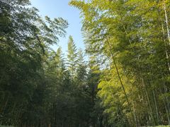 -天目湖涵田度假村