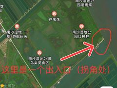-大湾区中央湿地公园